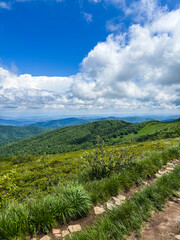 Fototapeta premium Beautiful landscape of summer mountains