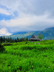 Old wooden barn among green grass