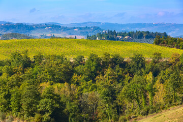 Obraz premium Italy, Tuscany landscape with vineyards rows