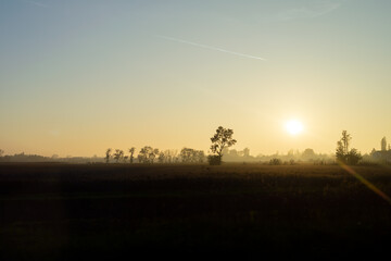 Yellow sunbeams fall on a foggy field in the Italian countryside, clear blue sky, trees