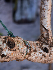 A rope tied to a tree branch