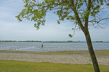 Zicksee im Burgenland