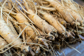 raw ginsengs on sale in the market
