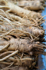 raw ginsengs on sale in the market