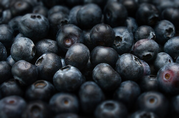 A background image with blueberries in a detailed view and different levels of focus