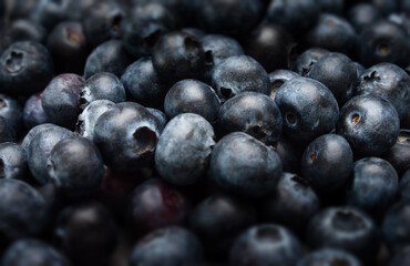 A background image with blueberries in a detailed view and different levels of focus