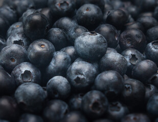 A background image with blueberries in a detailed view and different levels of focus