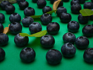 Individual blueberries on a green background are spaced apart in lines