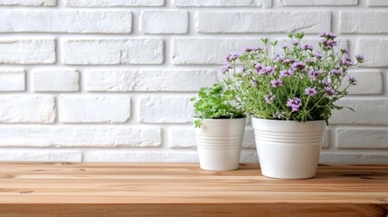 Fototapeta premium Purple flowers and green herb in white flower pots on a wooden table against a white brick wall