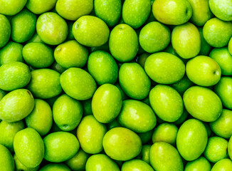 Food background of Fresh Harvested Green Olive for olive oil production pattern texture. Raw fruit for olive oil. Green backdrop of autumn season olive crop