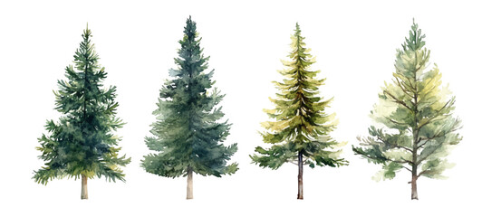 Christmas trees Vector watercolor illustration,Forest, fir trees, pine trees, woods watercolor illustration,festival set