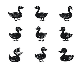 Group of happy duck silhouette and icon vector illustration