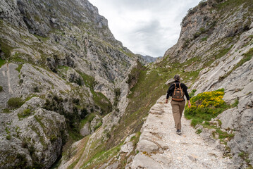 A female tourist hiking the picturesque Cares gorge in the Picos de Europa mountains, Asturias in Spain