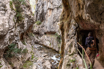 A female tourist hiking the picturesque Cares gorge in the Picos de Europa mountains, Asturias in...