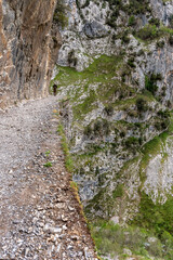 A female tourist hiking the picturesque Cares gorge in the Picos de Europa mountains, Asturias in Spain