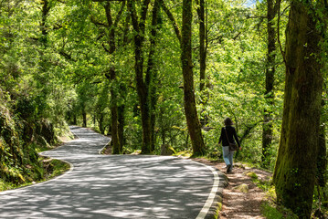 A person walks alone on a serene forest path in the transfrontier national park Peneda-Geres at the...