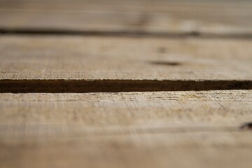 Wood Texture Close-Up with Soft Focus — Natural Background for Design and Decoration