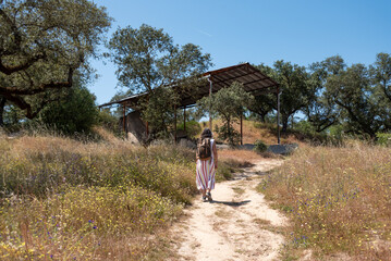 Iconic stone age site Anta Grande do Zambujeiro near Evora, the largest megalithic site of Portugal