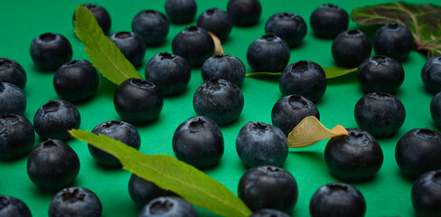 Individual blueberries on a green background are spaced apart in lines