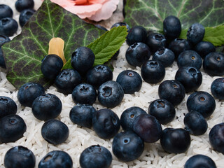 Blueberries Lying on Rice Grains with Green Leaves in the Background