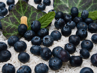 Blueberries Lying on Rice Grains with Green Leaves in the Background
