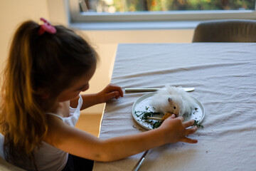 School ages girl feeds hamster at human plates and dining tables with fork and knife.