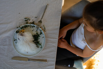 School ages girl sitting at the dining table and looking to the dinner plates with white hamster, grasses, fork, knife.