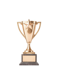 Celebrate success with a stunning golden trophy for your achievements