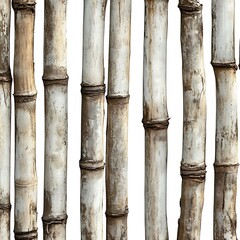 Obraz premium Bamboo isolated on a with a white background