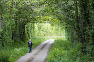 Fototapeta premium homme âgé, senior, sur une route à la campagne. Marche, sortie