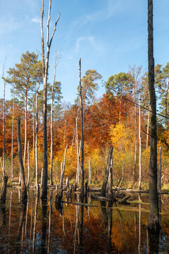 Briesetal landscape in fall foliage