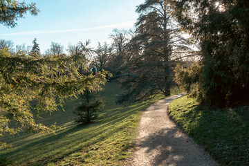 Obraz premium joli chemin de campagne parmi les beaux arbres