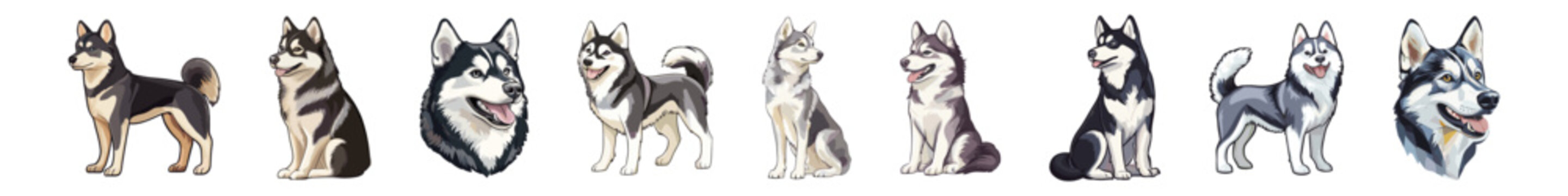 Set of vector cartoon character siberian husky breed dog for design. illustration potrait head of siberian husky dog isolated collection