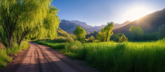 Dirt road on mountain landscape outdoors scenery.