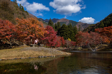  public park at autumn leaves season in japan and small tourist