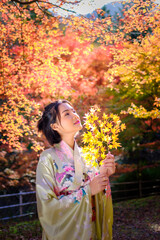 beautiful young asian woman wearing  kimono tradination in the park at autumn leaves season