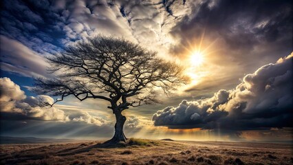 A Solitary Tree Stands Tall Against a Dramatic Sky of Golden Sunbeams and Dark Clouds