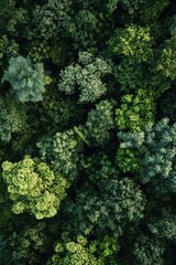 Close-up of verdant foliage, biodiversity, nature reserve, ecosystem healthy and vibrant
