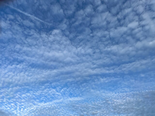 Fototapeta premium An interesting-looking cloud in the blue sky as a background. Altocumulus or cirrocumulus