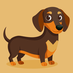 dachshund puppy dog