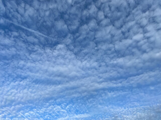 Fototapeta premium An interesting-looking cloud in the blue sky as a background. Altocumulus or cirrocumulus