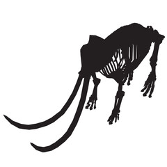 Vector Illustration of silhouette Mammoth Skeleton Isolated on White Background. Isometric view