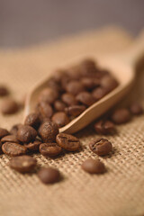 Roasted coffee beans for making coffee drinks
