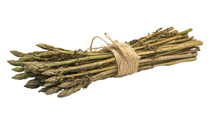 Bundle of asparagus spears isolated on transparent background
