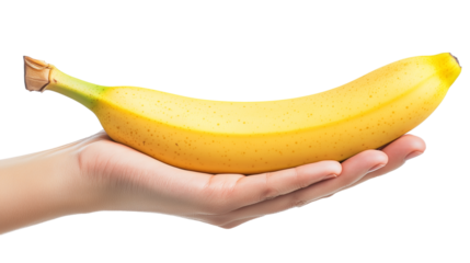 Woman hand holding ripe yellow banana isolated on transparent background