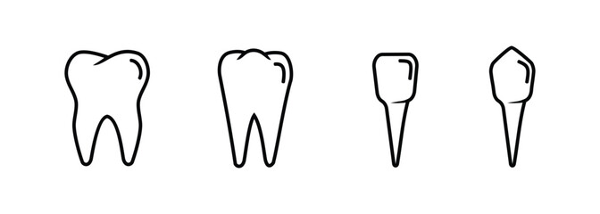 set design of human teeth, incisors, canines, premolars, molars. simple outline style. editable vector eps 10.