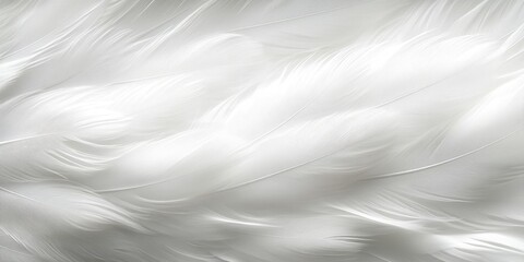 Obraz premium Soft and Light White Feathers Creating a Gentle Background for Various Creative Projects and Elegant Designs with Subtle Textures and Patterns