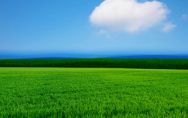 FELD HORIZONT #281041.9