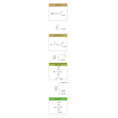 Diagram showing formation of mevalonate from acetyl-CoA via enzymatic reactions. Simple biochemical reaction illustration.