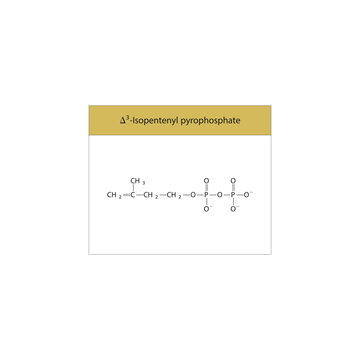 &Delta;3 -Isopentenyl pyrophosphate